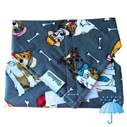 Kutyák újraszalvéta